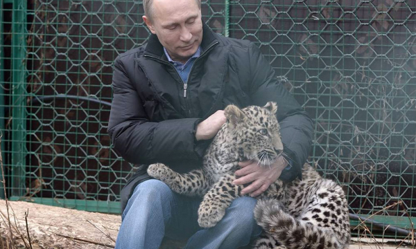 Британская газета опубликовала фото «любимого кота Путина»