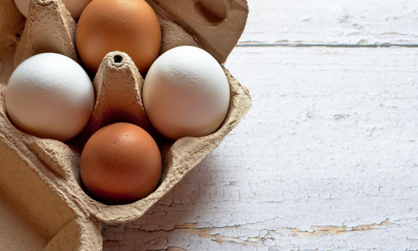 Белые или коричневые: эксперты выяснили, какие яйца вкуснее и в чем их отличие